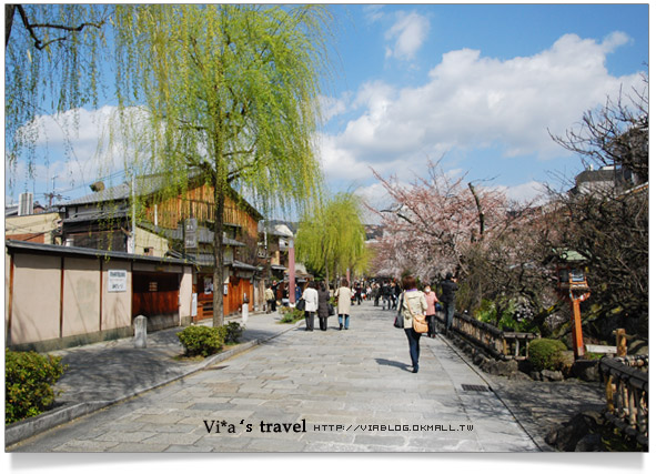 京都賞櫻》京都賞櫻景點～衹園新橋白川通賞櫻－白天篇