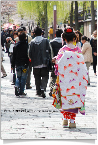 京都賞櫻》京都賞櫻景點～衹園新橋白川通賞櫻－白天篇