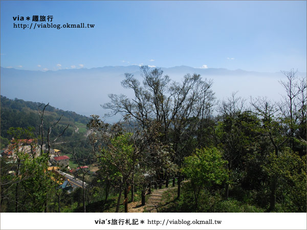 苗栗旅遊景點》三義薑麻園休閒園區～雲洞山莊雲海美景