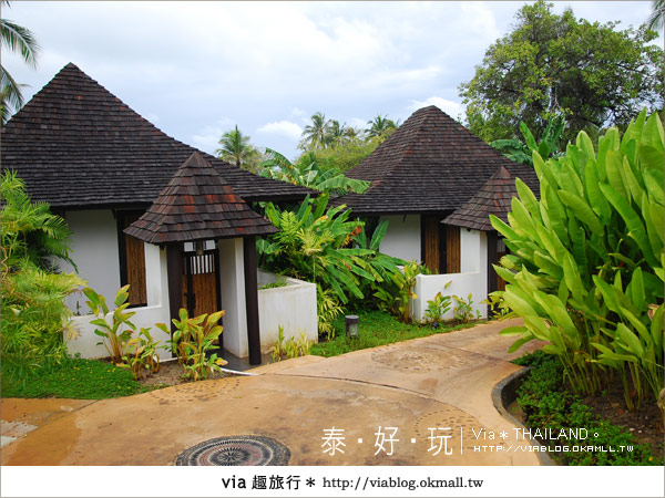 【泰國普吉島】普吉島飯店推薦～The Vijitt Resort Phuket