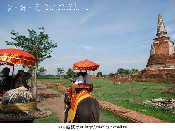 【泰國旅遊】大城騎大象之旅～漫遊在古城之中的小旅行