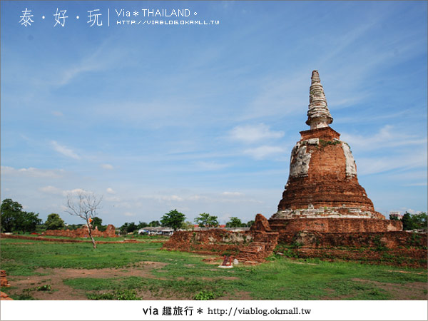 【泰國旅遊】大城騎大象之旅～漫遊在古城之中的小旅行