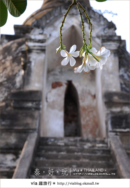 【Via玩泰國】泰國古味之旅～和我走一趟大城