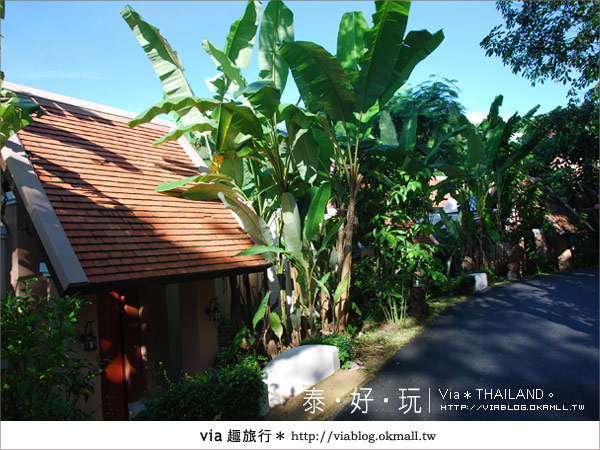 【泰國之旅】普吉島渡假型飯店～Sukko Cultural Spa & Wellness Resort