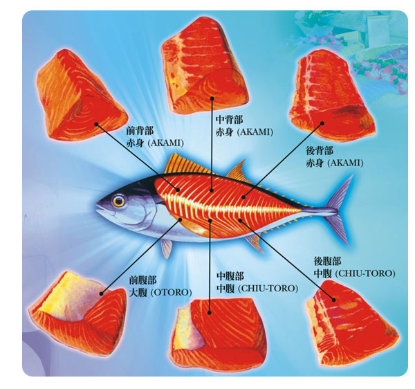 活動》2010高雄食品展～超低溫鮪魚主題區大啖鮪魚美食！