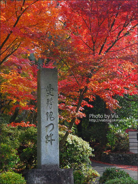 【京阪神自由行】關西賞楓懶人包！大阪、京都、奈良｜Via的紅葉美景全記錄♥ （目前收集28個，持續更新中）