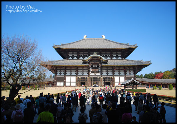 Via京都賞楓》Day3●紅通通的奈良～春日大社及東大寺