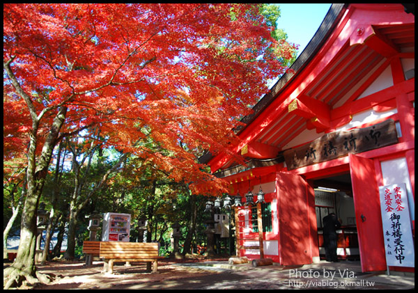 Via京都賞楓》Day3●紅通通的奈良～春日大社及東大寺