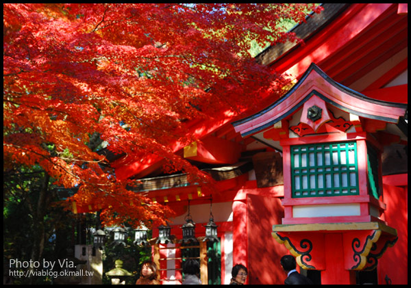 【京阪神自由行】關西賞楓懶人包！大阪、京都、奈良｜Via的紅葉美景全記錄♥ （目前收集28個，持續更新中）