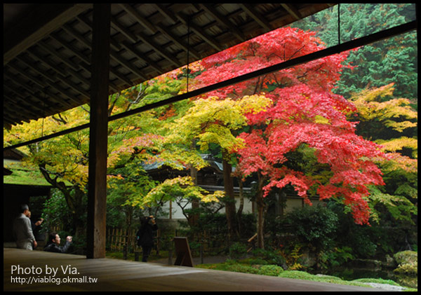 Via京都賞楓》Day4●此行最美的楓紅在南禪寺及永觀堂