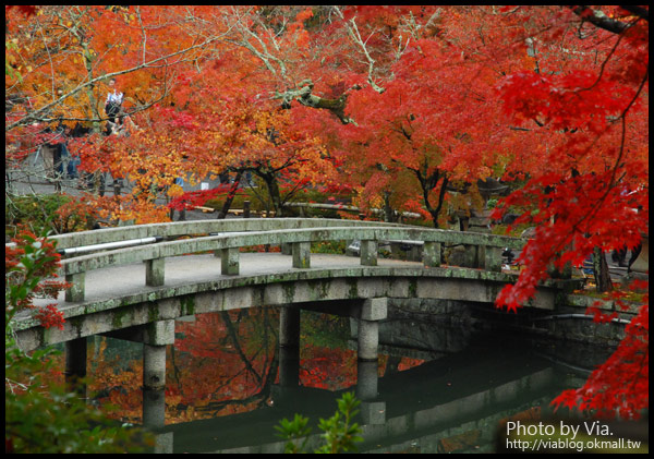 Via京都賞楓》Day4●此行最美的楓紅在南禪寺及永觀堂