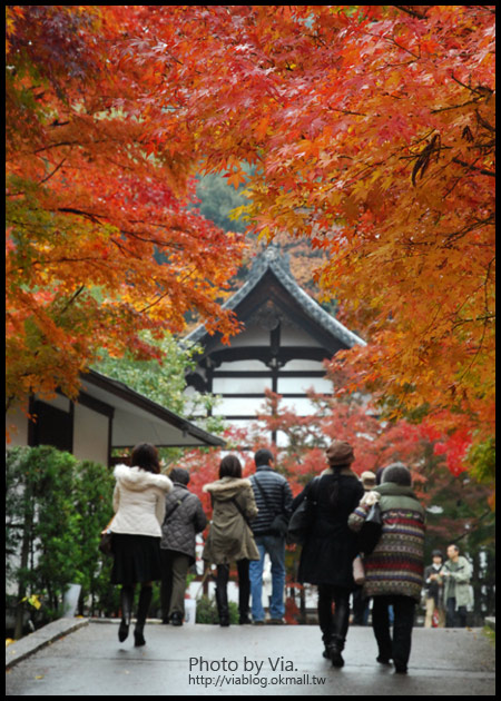 Via京都賞楓》Day4●此行最美的楓紅在南禪寺及永觀堂