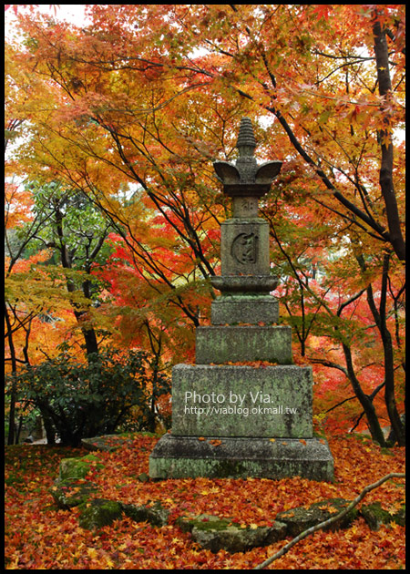 Via京都賞楓》Day4●此行最美的楓紅在南禪寺及永觀堂