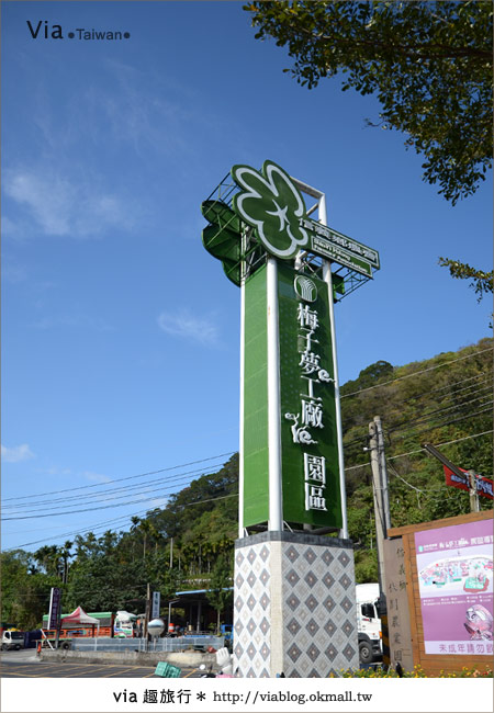 信義賞梅》賞梅一日遊～烏松崙森林渡假營賞梅＋信義鄉農會