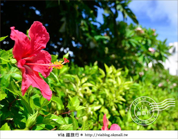 關島教堂》海外婚禮浪漫美地！到關島結婚去～