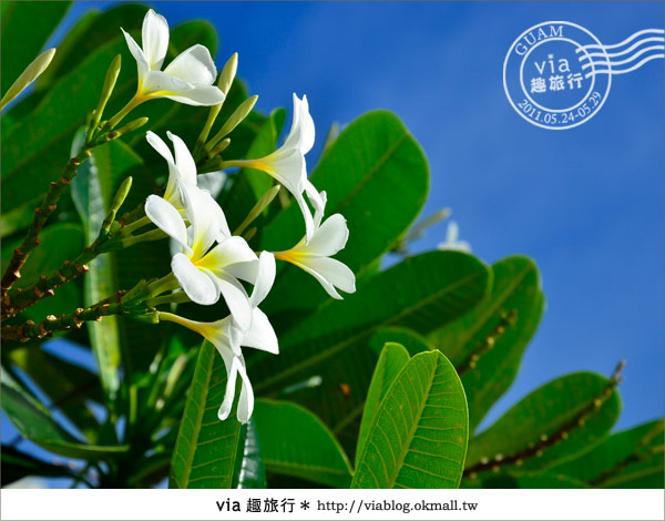 關島教堂》海外婚禮浪漫美地！到關島結婚去～