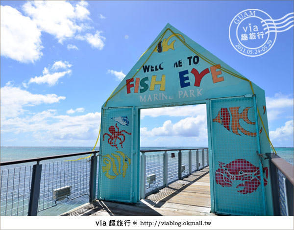 關島景點》最美的海中展望台～FISH EYE魚之眼展望台