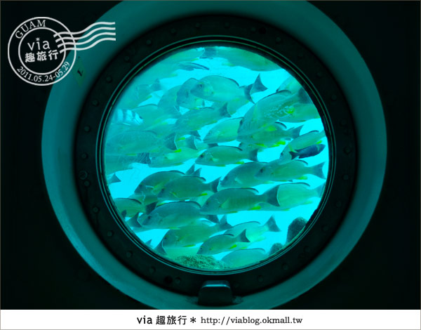 關島景點》最美的海中展望台～FISH EYE魚之眼展望台