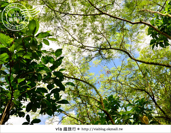 關島景點》和我一起拜訪關島的原住民生活～查莫洛文化村