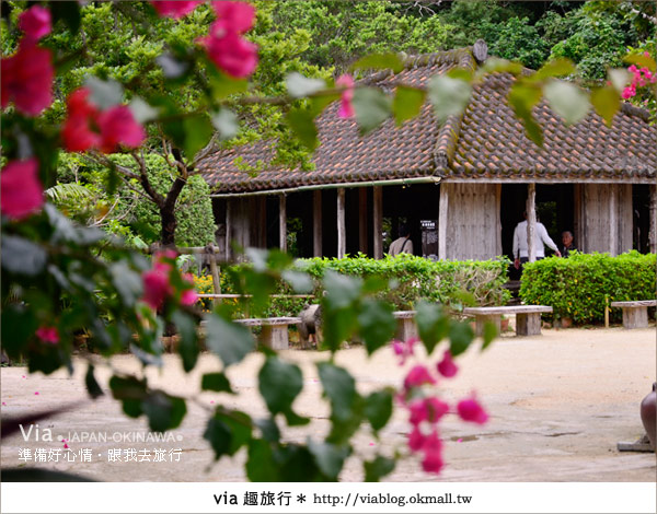 沖繩景點》沖繩琉球村～暢遊古琉球的特色文化園區！