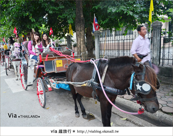 清邁旅遊》我的泰北清邁旅行誌～跟著via輕鬆玩泰北！