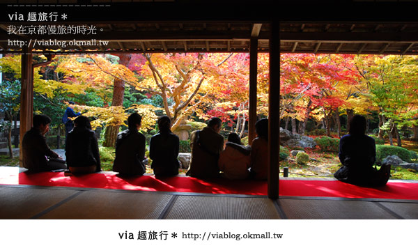 京都賞楓》via的京都紅葉紀行＊京都圓光寺～極致紅葉庭園之美