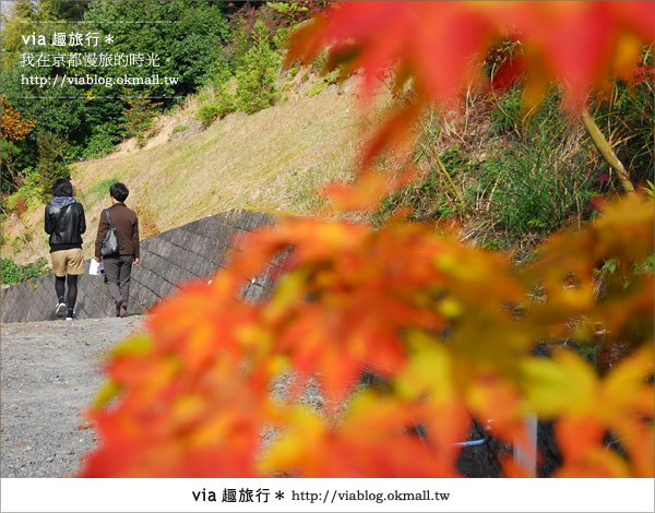 京都賞楓》via的京都紅葉紀行＊京都圓光寺～極致紅葉庭園之美