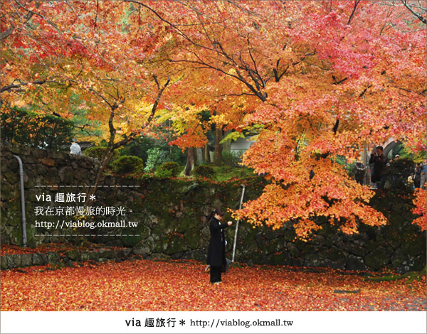 京都紅葉名所》via的京都紅葉紀行＊絕美紅葉地毯～南禪寺