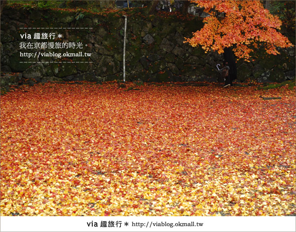 京都紅葉名所》via的京都紅葉紀行＊絕美紅葉地毯～南禪寺