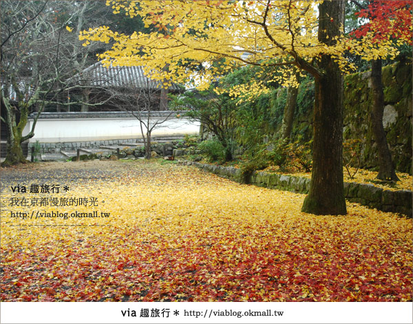 京都紅葉名所》via的京都紅葉紀行＊絕美紅葉地毯～南禪寺