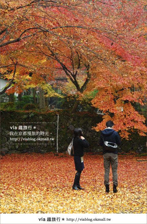 京都紅葉名所》via的京都紅葉紀行＊絕美紅葉地毯～南禪寺