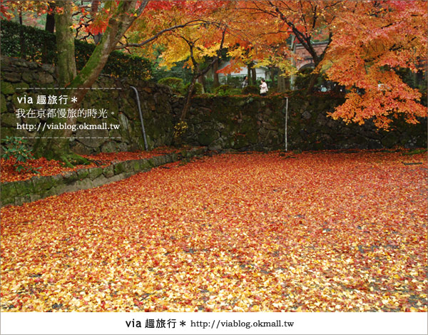 京都紅葉名所》via的京都紅葉紀行＊絕美紅葉地毯～南禪寺