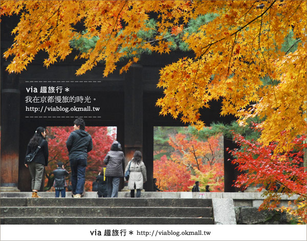 京都紅葉名所》via的京都紅葉紀行＊絕美紅葉地毯～南禪寺