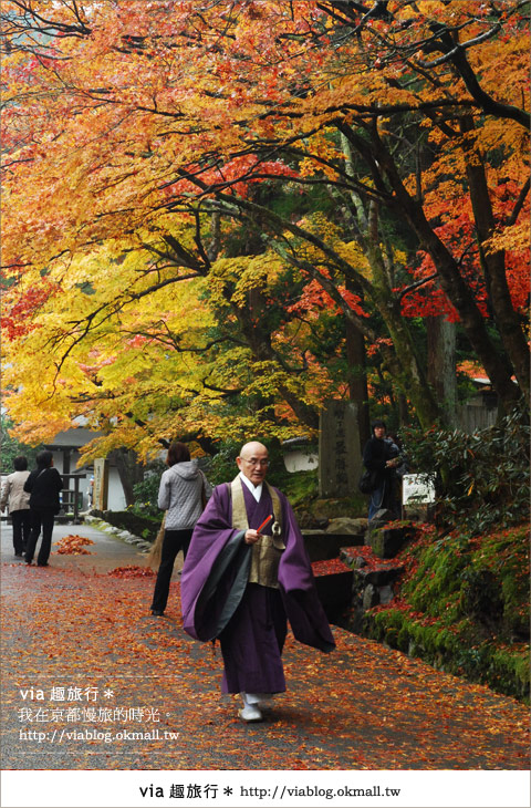 京都紅葉名所》via的京都紅葉紀行＊絕美紅葉地毯～南禪寺