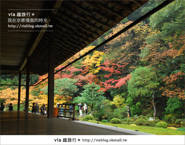 京都紅葉名所》via的京都紅葉紀行＊絕美紅葉地毯～南禪寺