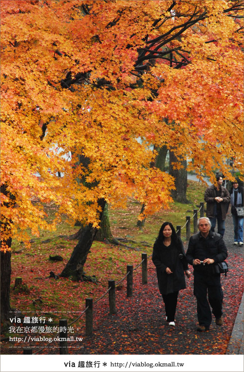 京都紅葉名所》via的京都紅葉紀行＊絕美紅葉地毯～南禪寺