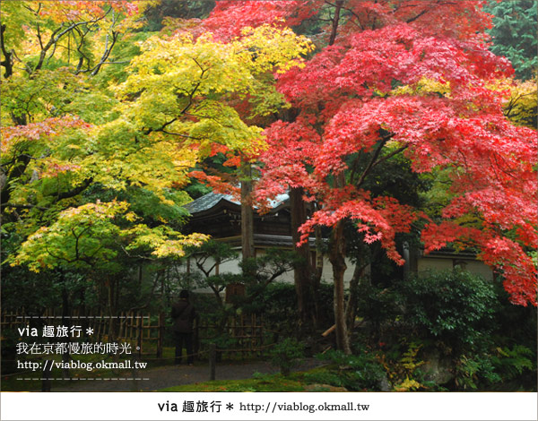 京都紅葉名所》via的京都紅葉紀行＊絕美紅葉地毯～南禪寺