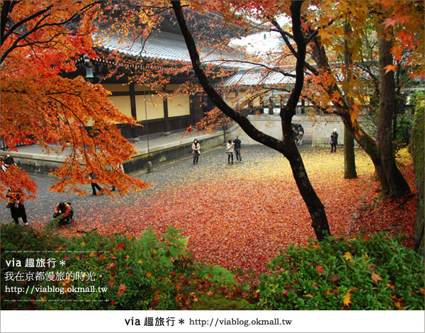 京都紅葉名所》via的京都紅葉紀行＊絕美紅葉地毯～南禪寺