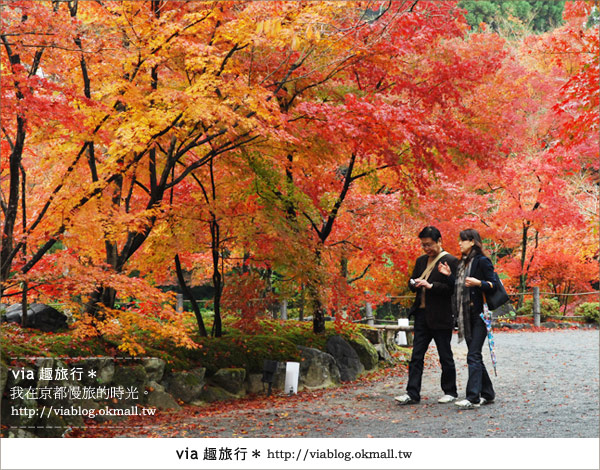 京都賞楓必去》跟著Via賞楓趣＊又見爆紅的美景～京都永觀堂