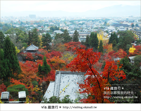 京都賞楓必去》跟著Via賞楓趣＊又見爆紅的美景～京都永觀堂