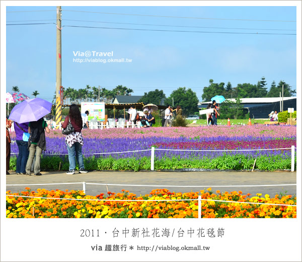 新社花海節》台中國際花毯節～一年一度的新社花海又來囉！