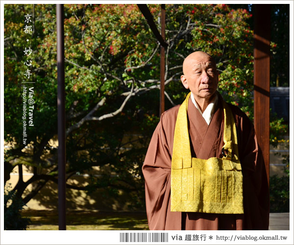 京都寺廟》京都妙心寺～列為重要文化財的日式寺院！