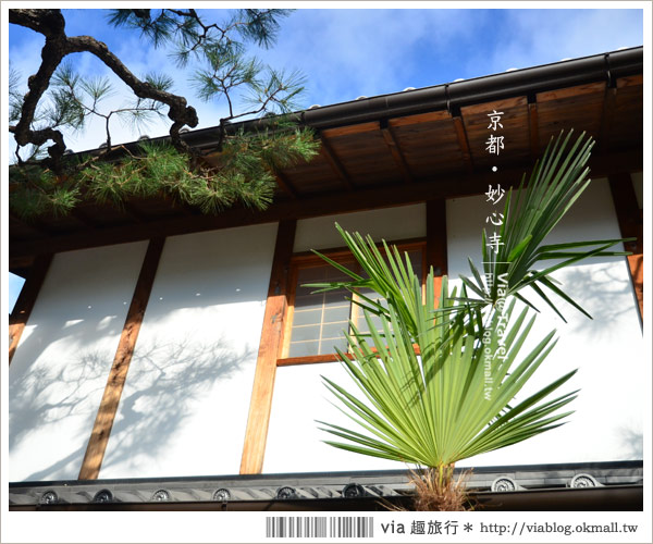 京都寺廟》京都妙心寺～列為重要文化財的日式寺院！