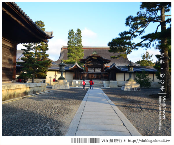 京都寺廟》京都妙心寺～列為重要文化財的日式寺院！