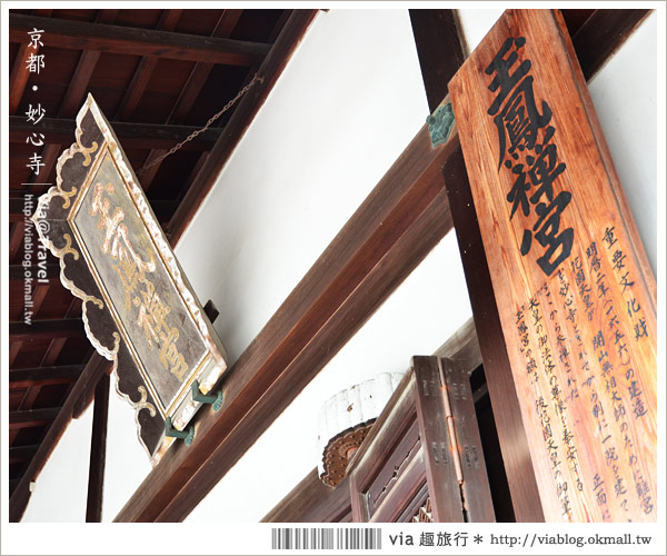 京都寺廟》京都妙心寺～列為重要文化財的日式寺院！