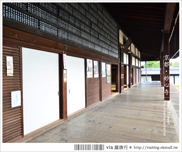 京都寺廟》京都妙心寺～列為重要文化財的日式寺院！