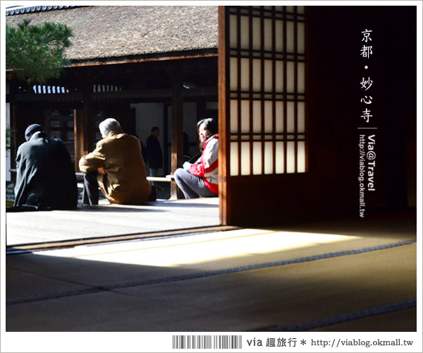 京都寺廟》京都妙心寺～列為重要文化財的日式寺院！