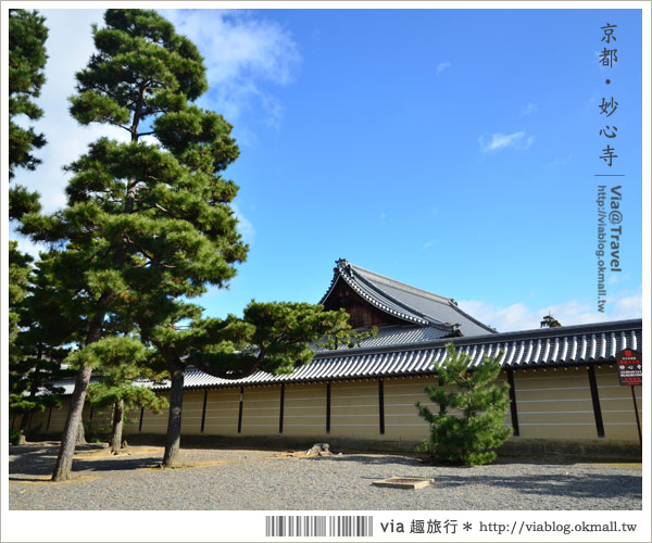 京都寺廟》京都妙心寺～列為重要文化財的日式寺院！