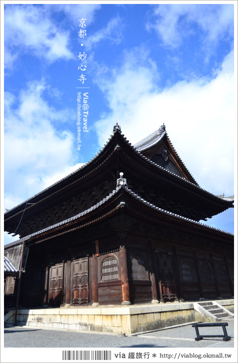 京都寺廟》京都妙心寺～列為重要文化財的日式寺院！