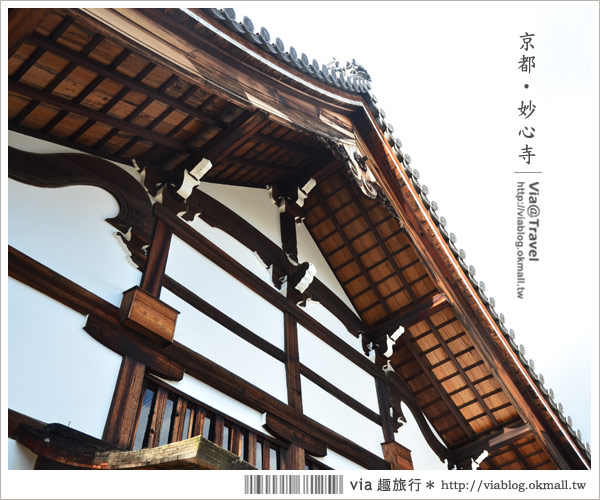 京都寺廟》京都妙心寺～列為重要文化財的日式寺院！